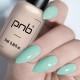Гел лак PNB 8 мл 247